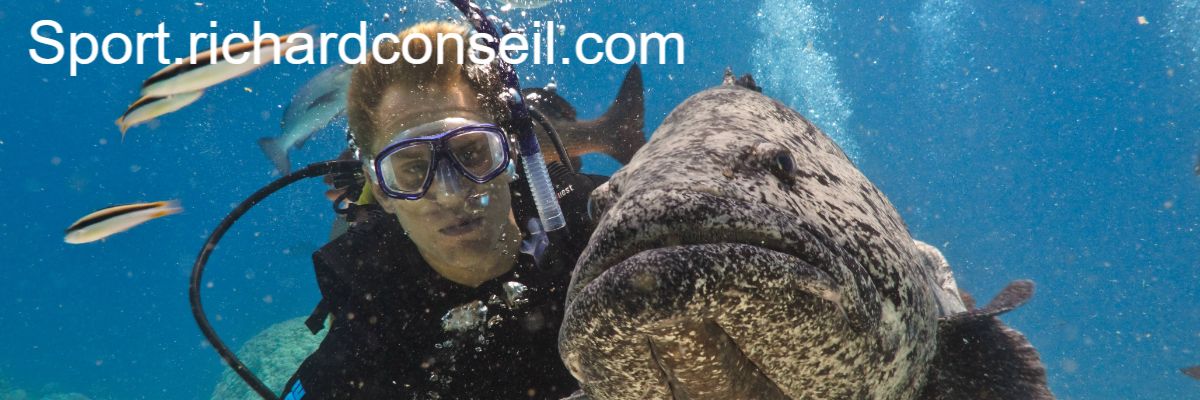 sport.richardconseil.com